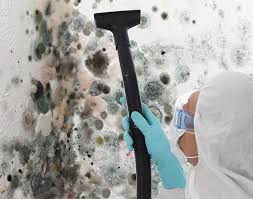 Best Mold Remediation for Healthcare Facilities  in Wilson, PA